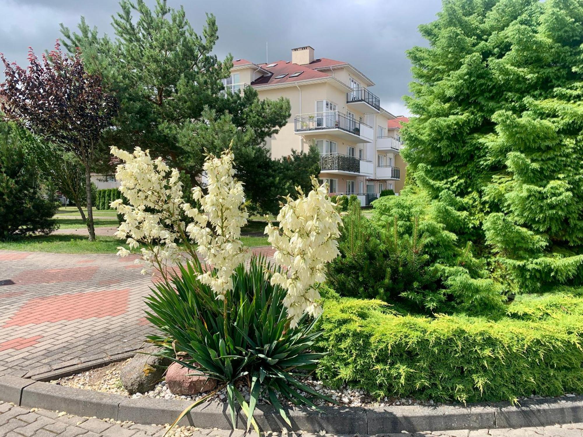 Baltic Apartament Studio Z Ogrodkiem Grzybowo Kolobrzeg Exteriér fotografie